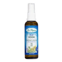 Osvěžovač živel VODA, 50 ml